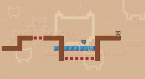 Dual Path Puzzle Journey